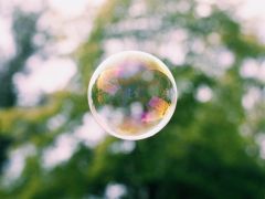 Online-Seminar für erfahrene Bachblüten-Anwender – vertiefen & verfeinern