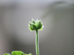 Workshop - Der Weg zu deiner Essenz