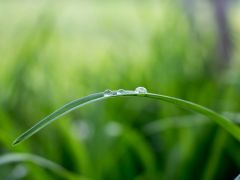 Tagesseminar "In die Stille lauschen"