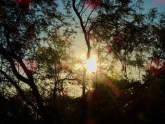 Tag- und Nachtgleiche