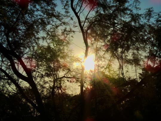 Tag- und Nachtgleiche